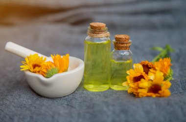 Calendula özütü. Seçici odak.