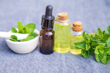 Şifalı bitkiler. Naneli. Seçici odak.