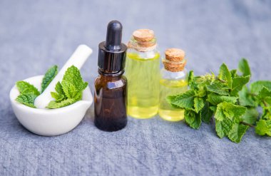 Şifalı bitkiler. Naneli. Seçici odak.