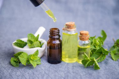 Şifalı bitkiler. Naneli. Seçici odak.