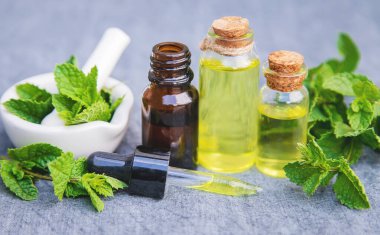 Şifalı bitkiler. Naneli. Seçici odak.