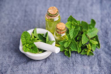 Şifalı bitkiler. Naneli. Seçici odak.