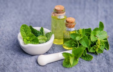 Şifalı bitkiler. Naneli. Seçici odak.