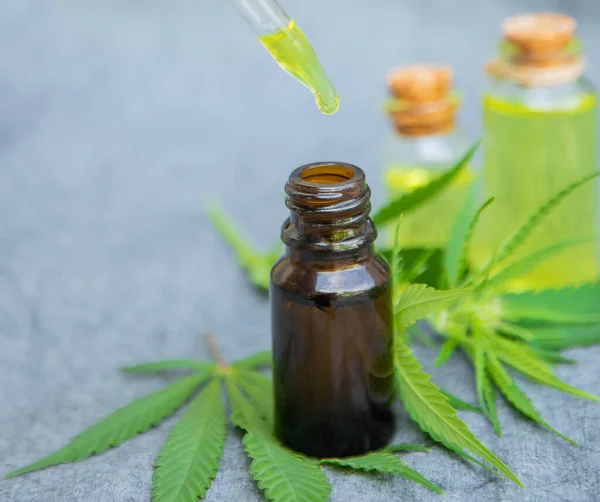 Cannabis Gyógynövény Levelek Kezelés Erőleves Tinktúra Kivonat Olaj Szelektív Fókusz — Stock Fotó