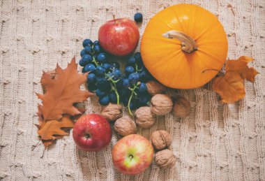 Balkabağıyla arka plan. Şükran Günü. Seçici odak.