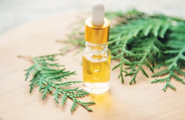 Küçük bir şişede ardıç yağı. Seçici odaklanma. Doğa.