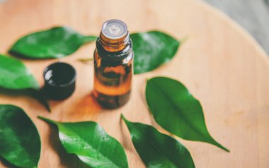 Çay ağacı küçük bir şişede gerekli yağ. Seçici odak.