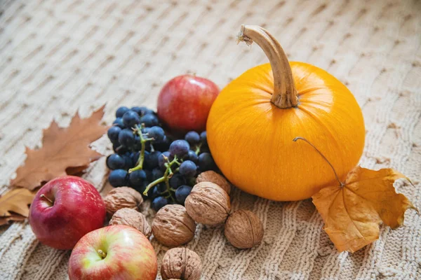 Background Pumpkin Thanksgiving Day Selective Focus — Stock Photo, Image