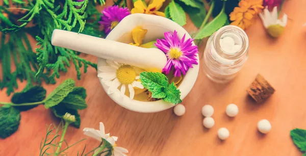 Homeopatía Frascos Pequeños Extracto Hierbas Enfoque Selectivo Naturaleza — Foto de Stock