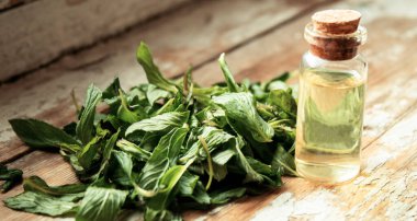 Küçük bir kavanozda nane şekeri. Bitki özü. Seçici odaklanma. Doğa 