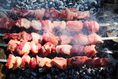 Gürcistan mutfağı. Kebaplar. Ekmek. seçici odak