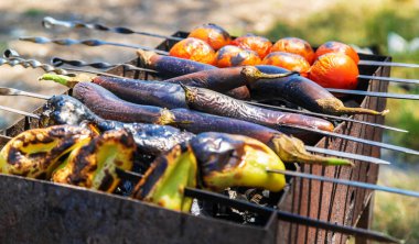Gürcistan mutfağı. Kebaplar. Ekmek. Sebze kebabı. seçici odak