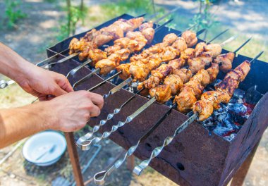Gürcistan mutfağı. Kebaplar. Ekmek. Sebze kebabı. seçici odak