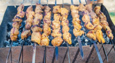 Gürcistan mutfağı. Kebaplar. Ekmek. Sebze kebabı. seçici odak