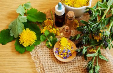 Kavanozda Celandine karahindiba özü, tedavi, ilaç, tentür. seçici odak