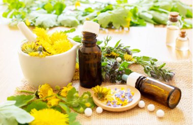 Kavanozda Celandine karahindiba özü, tedavi, ilaç, tentür. seçici odak