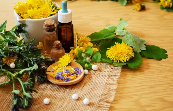 Kavanozda Celandine karahindiba özü, tedavi, ilaç, tentür. seçici odak
