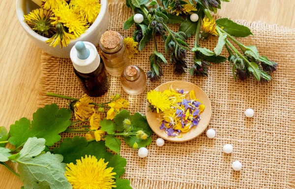 Celandine Dandelion Extract Jar Treatment Medicine Tincture Selective Focus — Stock Photo, Image