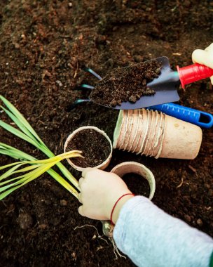 Çocuk bahçeye çiçek eker. seçici odak