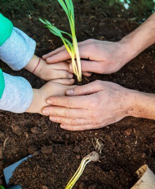 Çocuk bahçeye çiçek eker. seçici odak