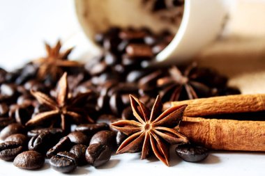 Kahve çekirdeği. Anasonlu yıldız. Kahverengi. seçili fokuc