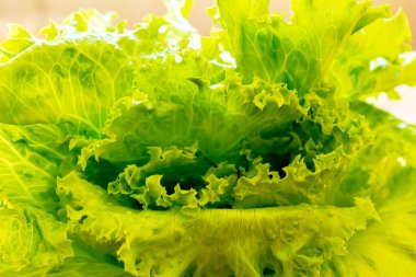 Kilo verme konsepti için diyet. Seçici odak