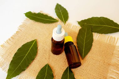 Çay ağacı küçük bir şişede gerekli yağ. Seçici odak.