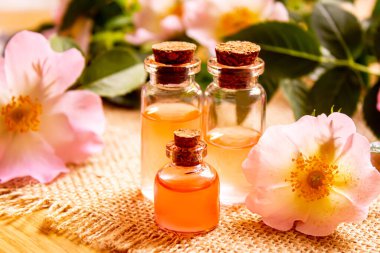 Gül esaslı yağ gül gemisi Seçici odak noktası. Doğa