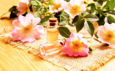 Gül esaslı yağ gül gemisi Seçici odak noktası. Doğa