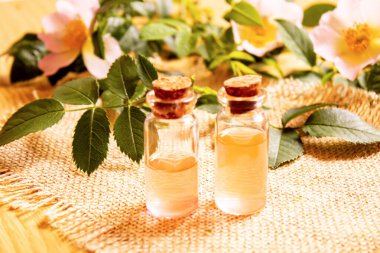 Gül esaslı yağ gül gemisi Seçici odak noktası. Doğa