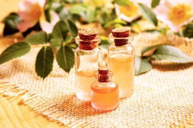 Gül esaslı yağ gül gemisi Seçici odak noktası. Doğa