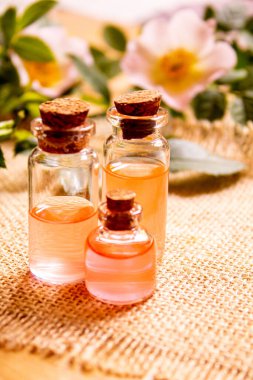 Gül esaslı yağ gül gemisi Seçici odak noktası. Doğa