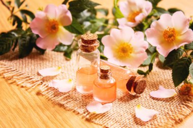 Gül esaslı yağ gül gemisi Seçici odak noktası. Doğa