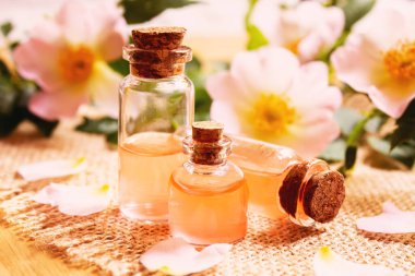 Gül esaslı yağ gül gemisi Seçici odak noktası. Doğa