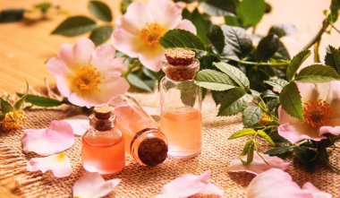 Gül esaslı yağ gül gemisi Seçici odak noktası. Doğa