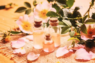 Gül esaslı yağ gül gemisi Seçici odak noktası. Doğa