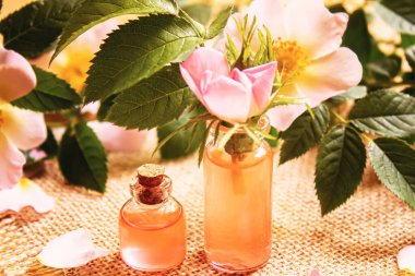 Gül esaslı yağ gül gemisi Seçici odak noktası. Doğa