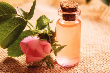 Gül esaslı yağ gül gemisi Seçici odak noktası. Doğa