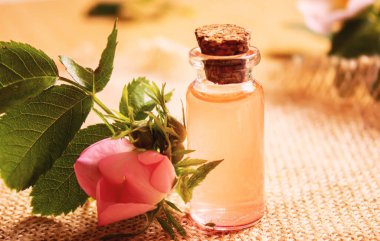 Gül esaslı yağ gül gemisi Seçici odak noktası. Doğa