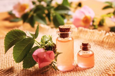 Gül esaslı yağ gül gemisi Seçici odak noktası. Doğa