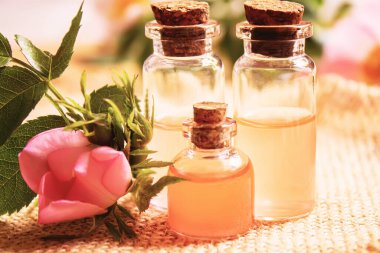 Gül esaslı yağ gül gemisi Seçici odak noktası. Doğa