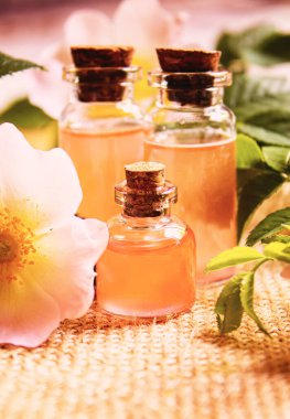 Gül esaslı yağ gül gemisi Seçici odak noktası. Doğa