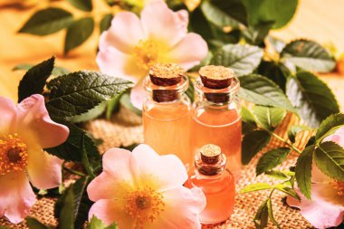 Gül esaslı yağ gül gemisi Seçici odak noktası. Doğa