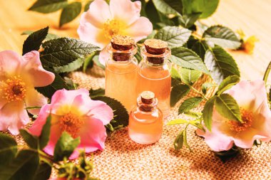 Gül esaslı yağ gül gemisi Seçici odak noktası. Doğa