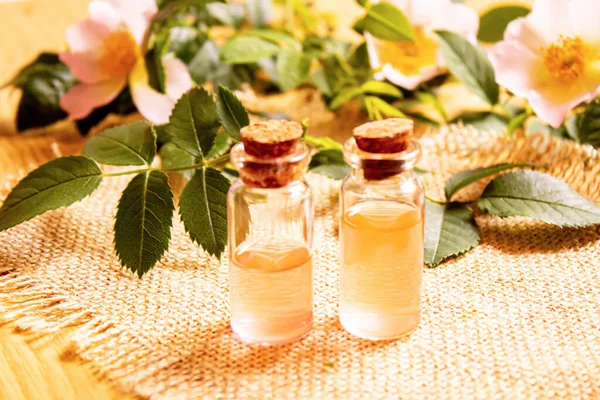 Gül esaslı yağ gül gemisi Seçici odak noktası. Doğa