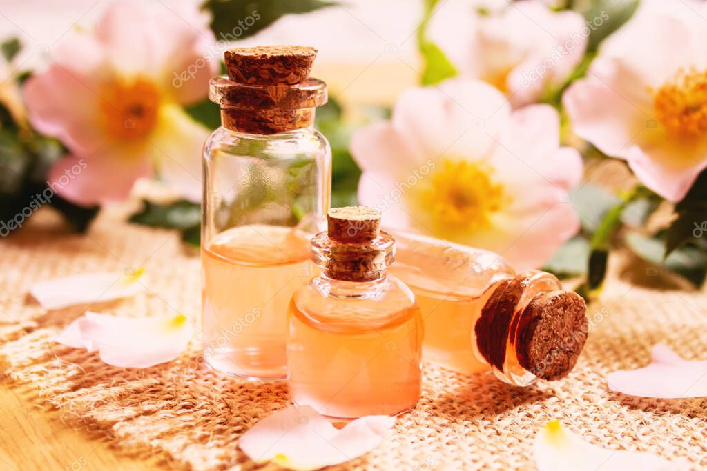Rose essential oil rosehip Selective focus.nature