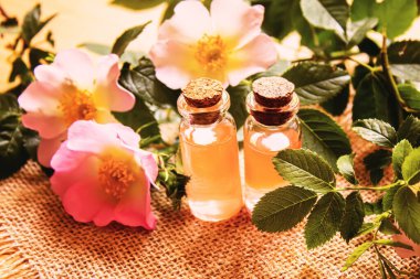 Gül esaslı yağ gül gemisi Seçici odak noktası. Doğa