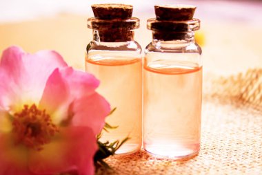 Gül esaslı yağ gül gemisi Seçici odak noktası. Doğa