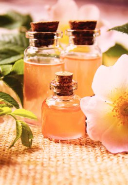 Gül esaslı yağ gül gemisi Seçici odak.