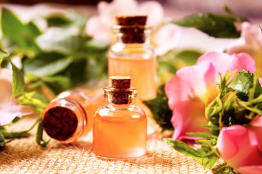 Gül esaslı yağ gül gemisi Seçici odak.